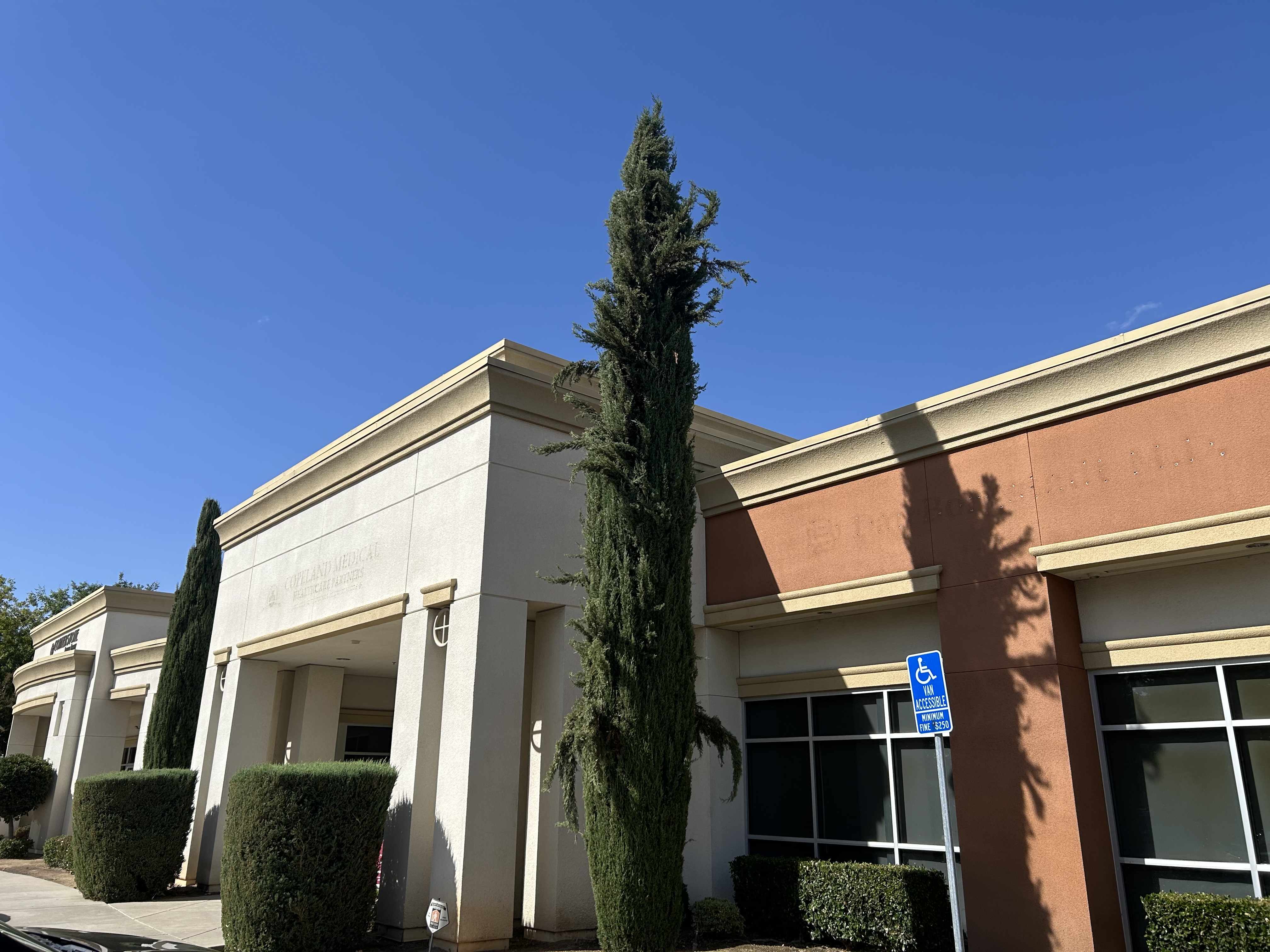 IMG_1934.jpeg IMG_1934.jpeg